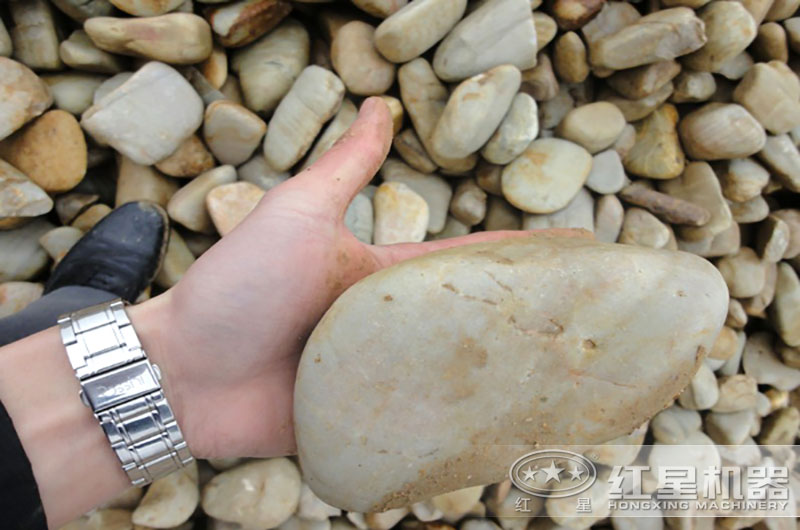 鵝卵石實拍 鵝卵石實拍